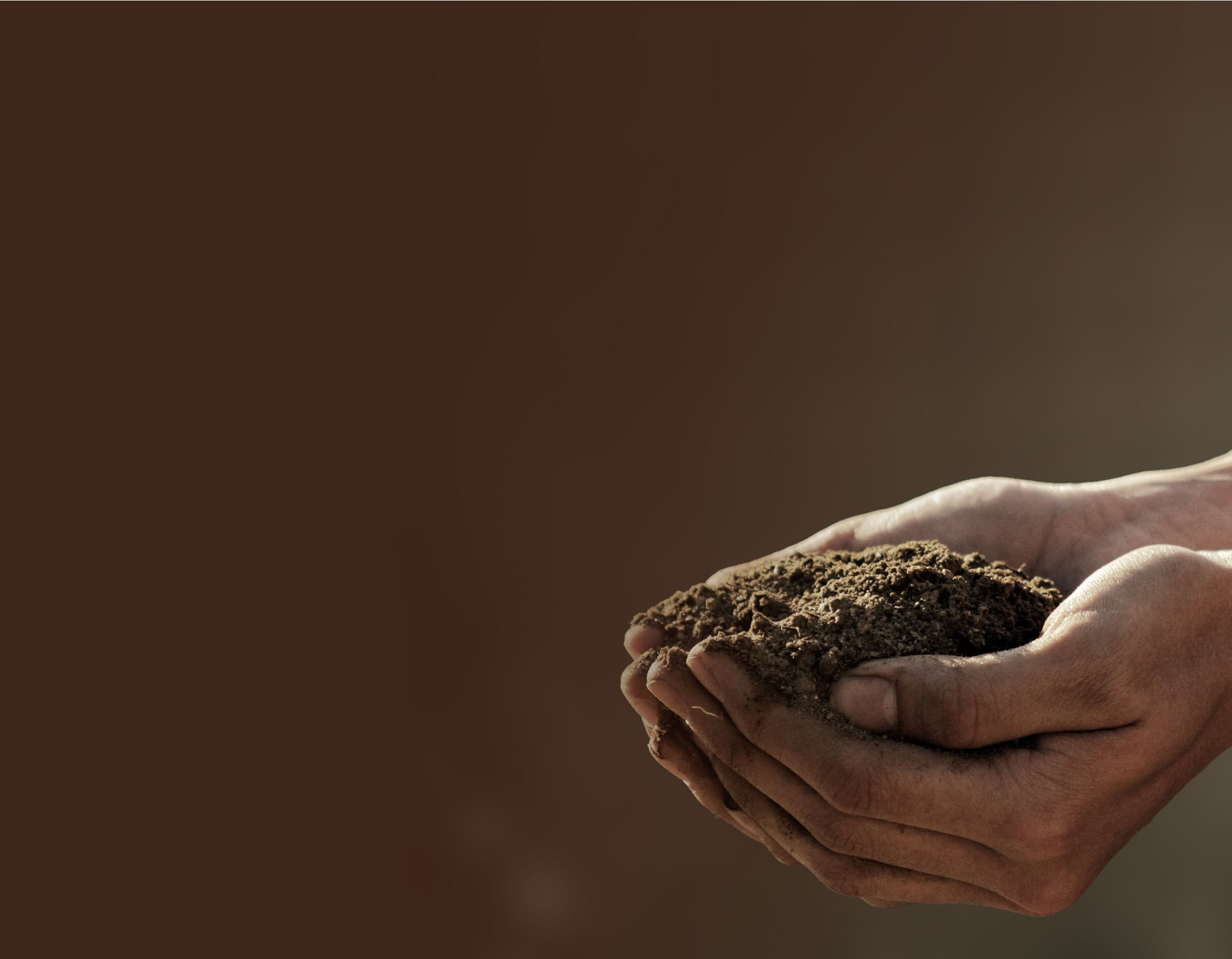 Soil-in-hands