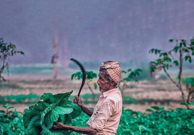 Sustainable Soil Management Sustainable Soil Management