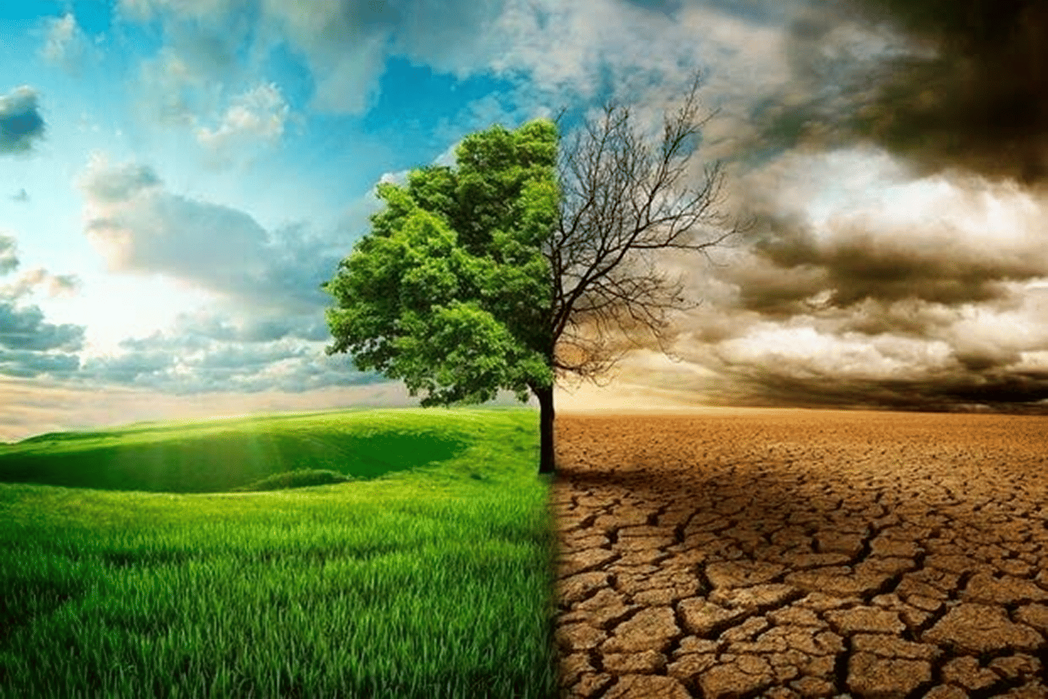 Environmental contrast showing healthy green landscape and dry cracked earth
