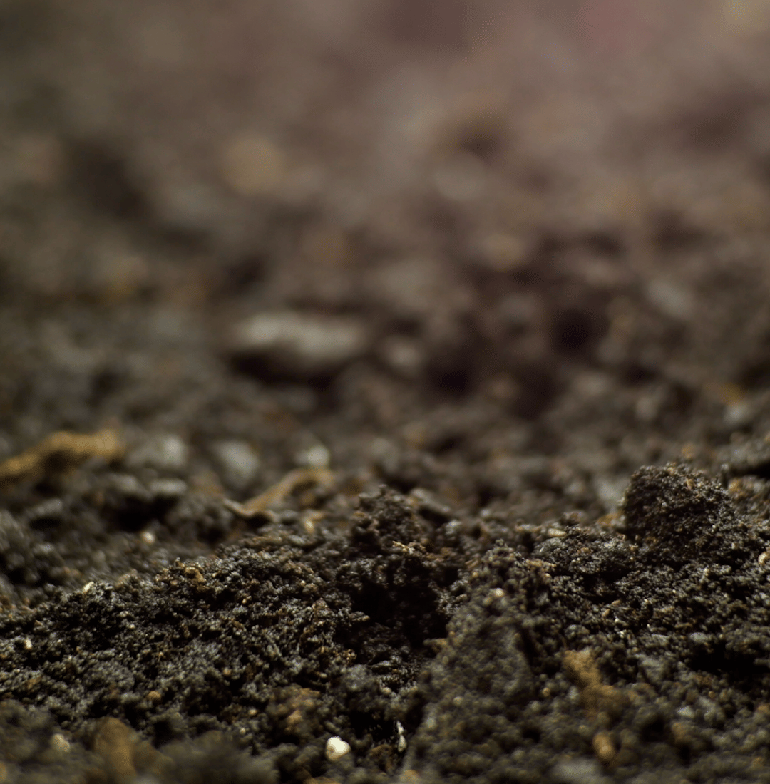 Header-Banner